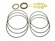 Hydraulic Motor Seal Kit - Old Style Danfoss DSP50/OD