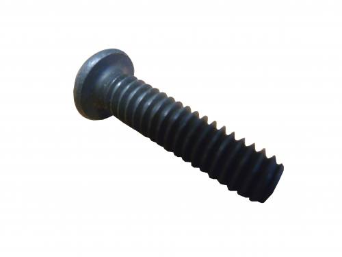 Ricon Screw BHS 1/4