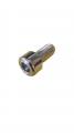 Dhollandia Allen Head Bolt BI08.016